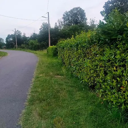 Confidential Silent Appartamento *