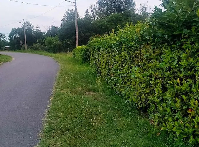 Confidential Silent Daire *